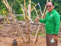 Ritual Adat sebagai Simbol Kemitraan Yang Baik